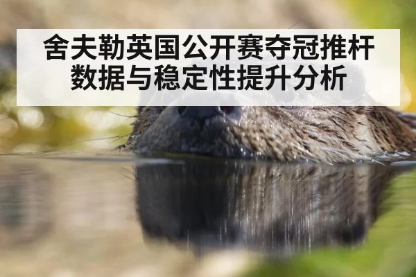 舍夫勒英国公开赛夺冠推杆数据与稳定性提升分析