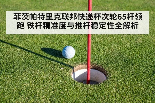 菲茨帕特里克联邦快递杯次轮65杆领跑 铁杆精准度与推杆稳定性全解析